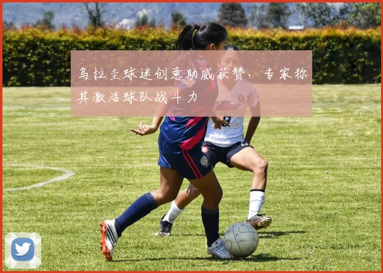 乌拉圭球迷创意助威获赞，专家称其激活球队战斗力