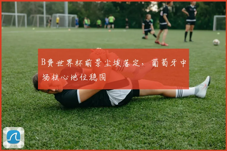 B费世界杯前景尘埃落定，葡萄牙中场核心地位稳固