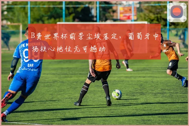 B费世界杯前景尘埃落定，葡萄牙中场核心地位无可撼动